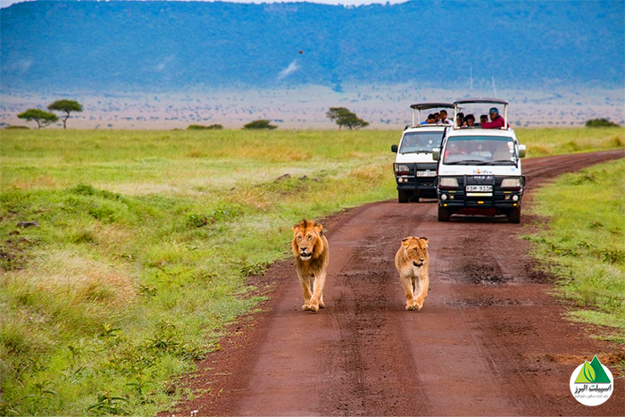 تورهای سفر به کشور کنیا ماجراجویانه، دلنشین و ارزان‎قیمت هستند