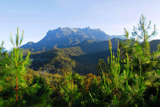 کوه کینابالو