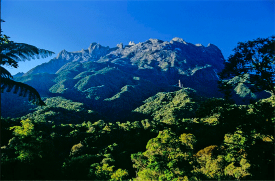 کوه کینابالو