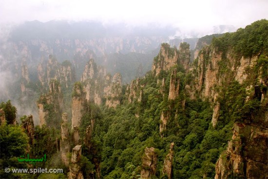 کوهستان تیانزی (Tianzi Mountains)