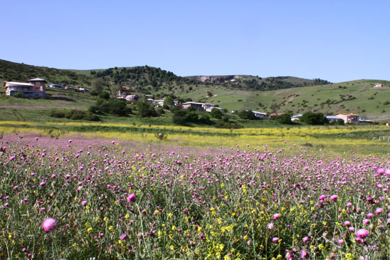 طبیعت گردی