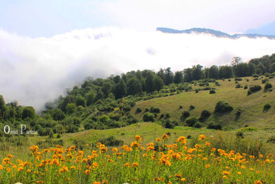 طبیعت گردی 2 روزه