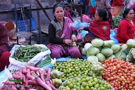 میوه سبزیجات بازار کاتماندو