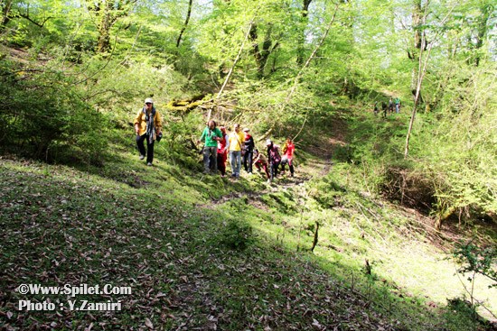 سفر دسته جمعی به پاشاکلا