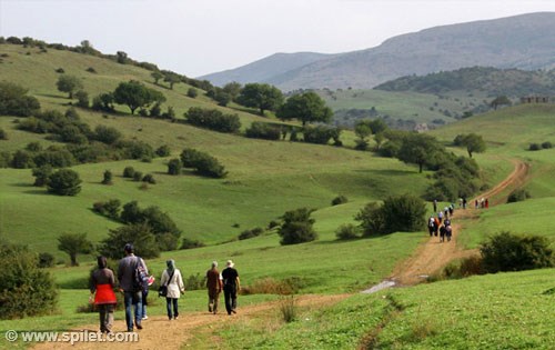 طبیعت گردی