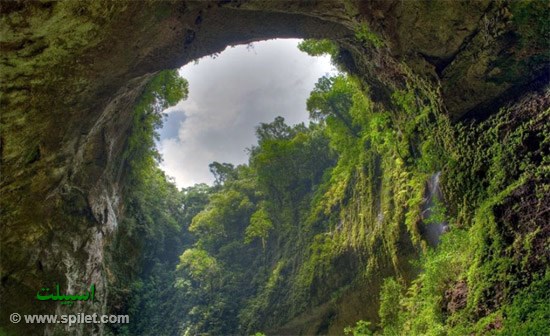 غار هانگ سون