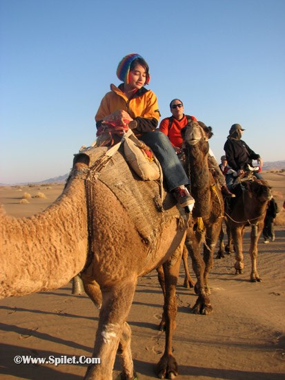 کویر مصر - شتر سواری در کویر