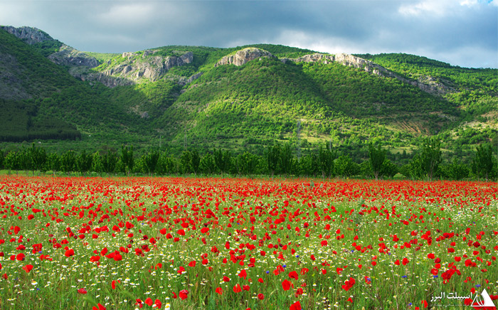 طبیعت بلغارستان
