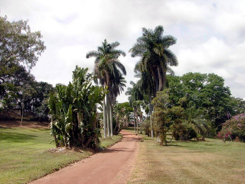 باغ ملی گیاهان استوایی اوگاندا