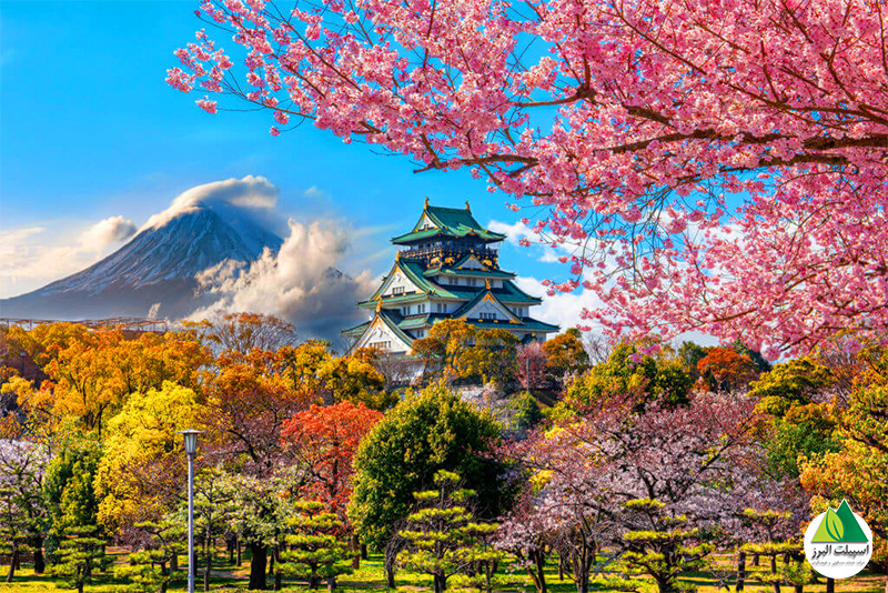برجسته‌ترین جاذبه گردشگری شهر اوساکا، قلعه‌ی معروف آن است