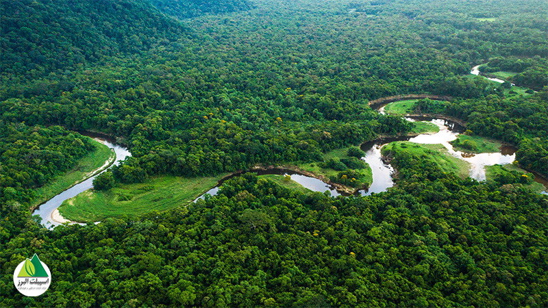 رودخانه آمازون بعد از رودخانه نیل طولانی‌ترین رودخانه جهان است