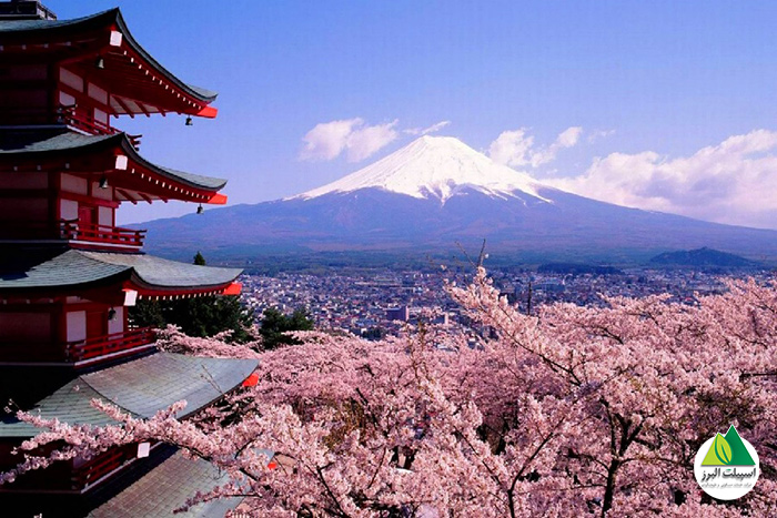 سفر به ژاپن؛ کشور آفتاب تابان