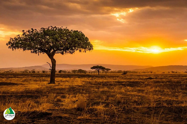 سفر به تانزانیا تجربه‌ای بی‌نظیر و تکرارنشدنی است