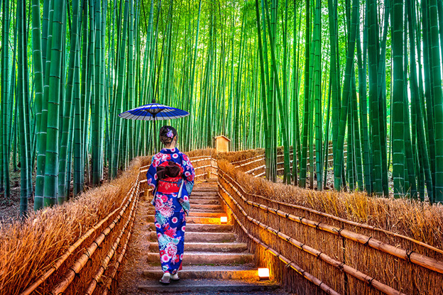 جنگل بامبو در کیوتو