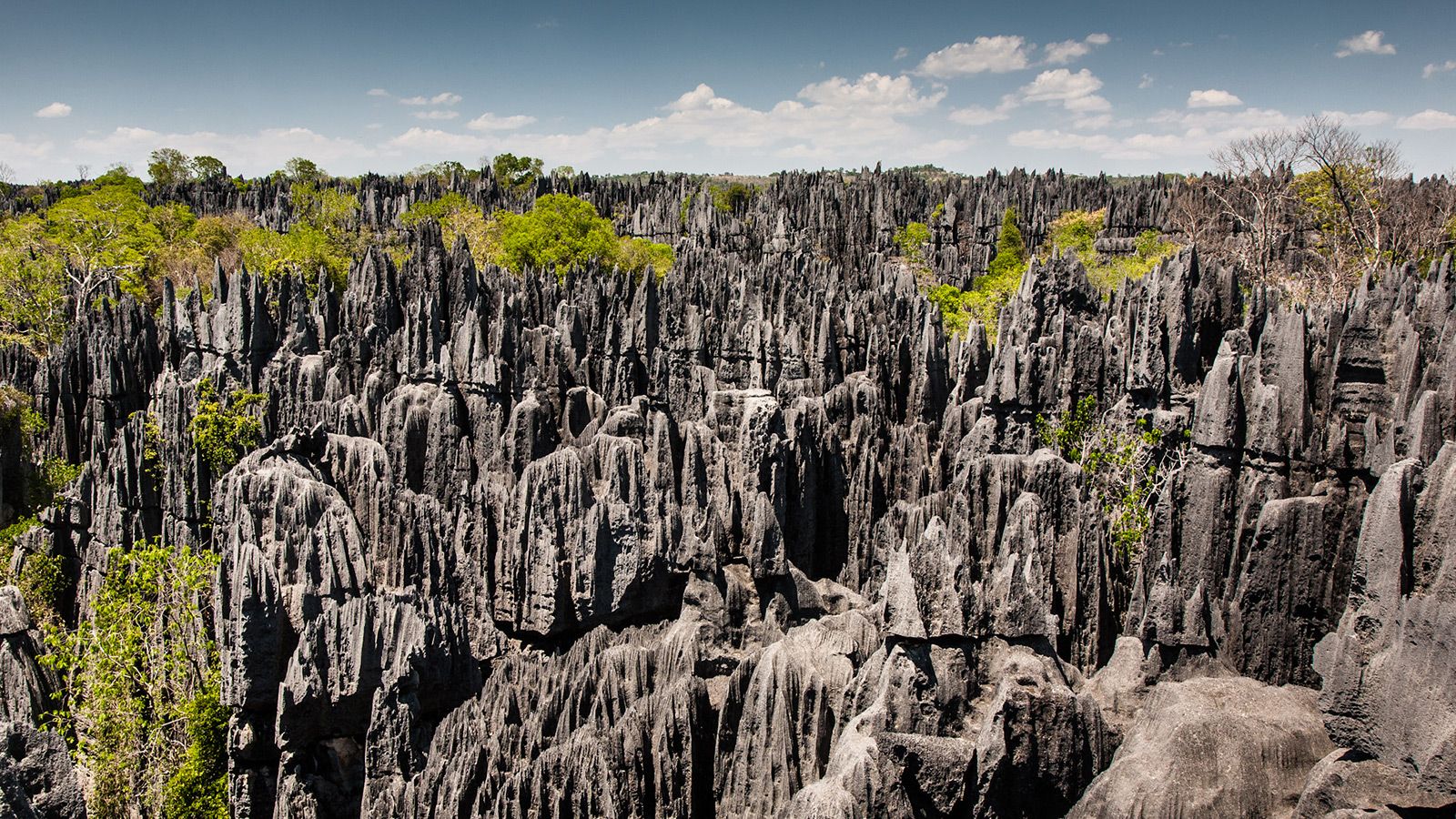 ماداگاسکار؛ جزیره منحصر به فرد ترکیبی از جنگل و صخره و رودخانه