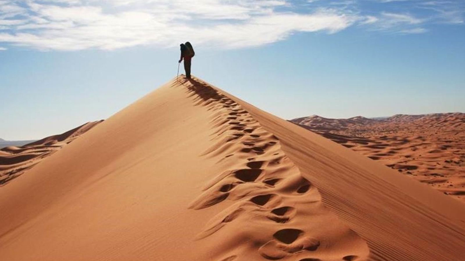 مصاحبه سهند عقدایی با دنیای اقتصاد
