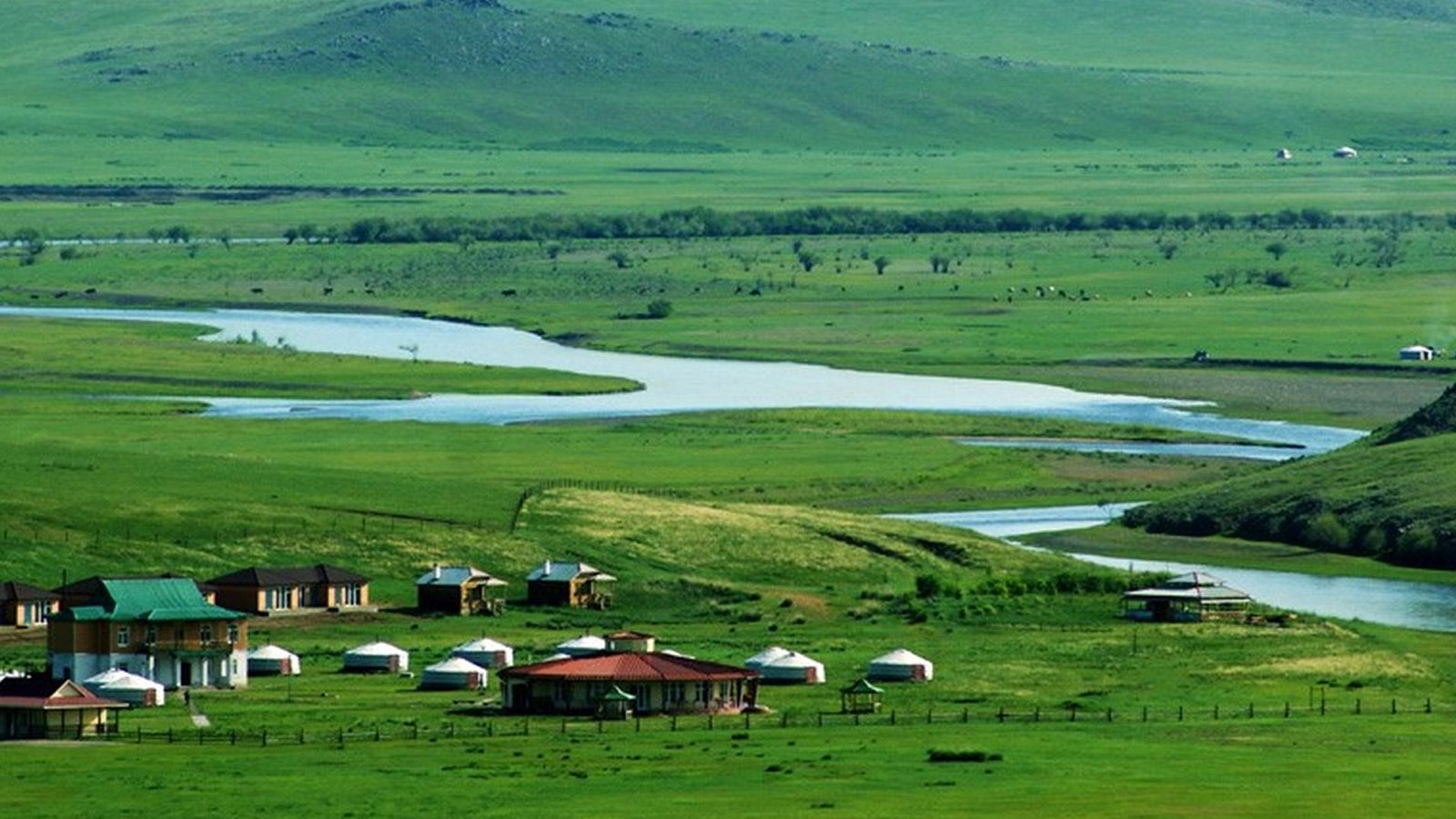 کمپ مغولی
