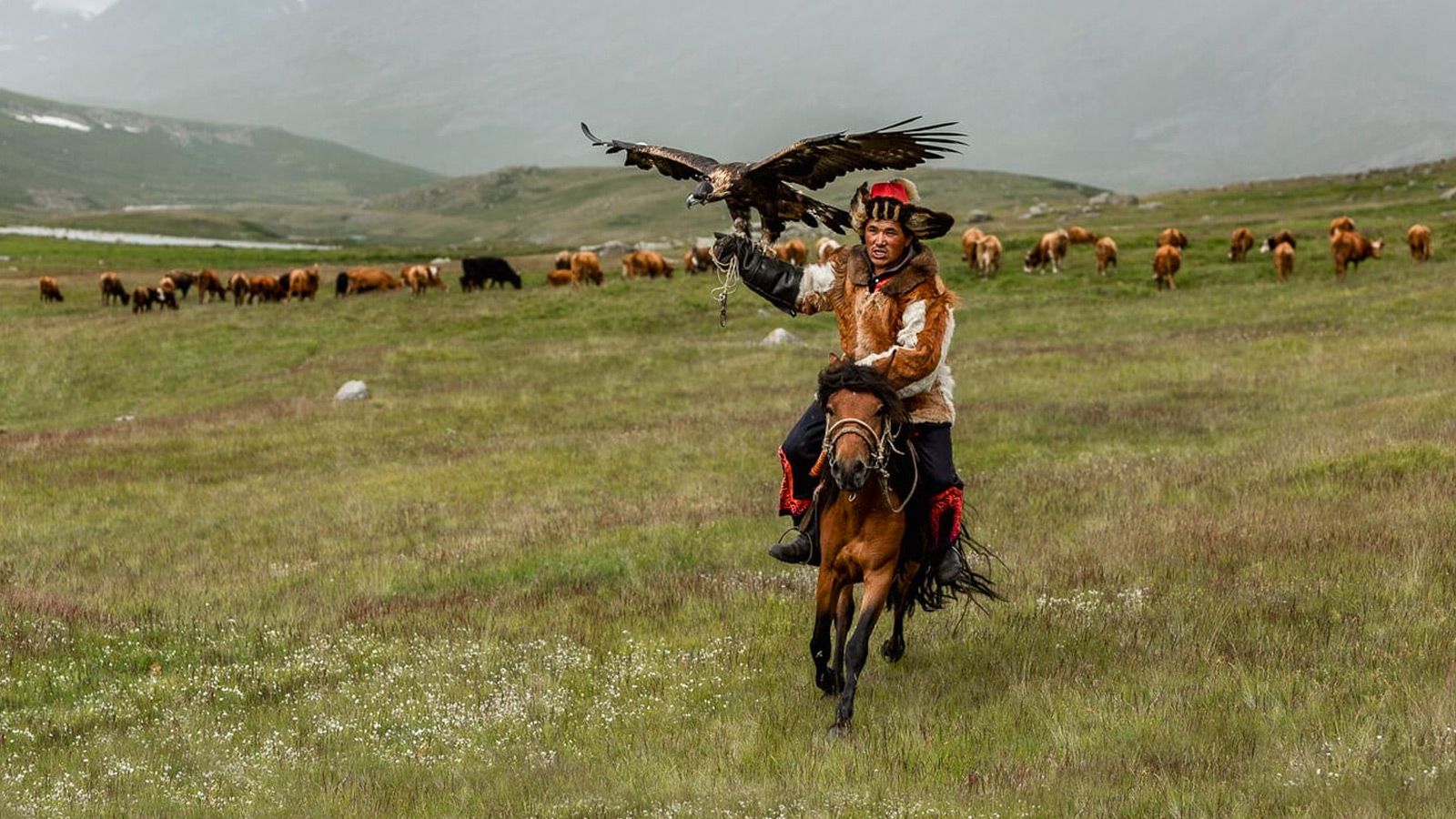 آشنایی با فرهنگ و رسوم جذاب مغولستان - بخش ۱