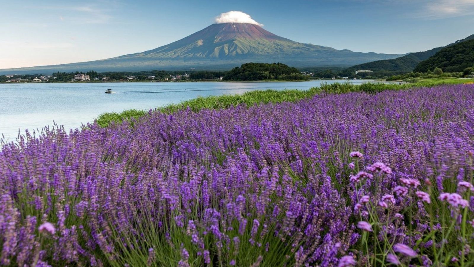 ۵ جاذبه‌ی برتر کوه فوجی