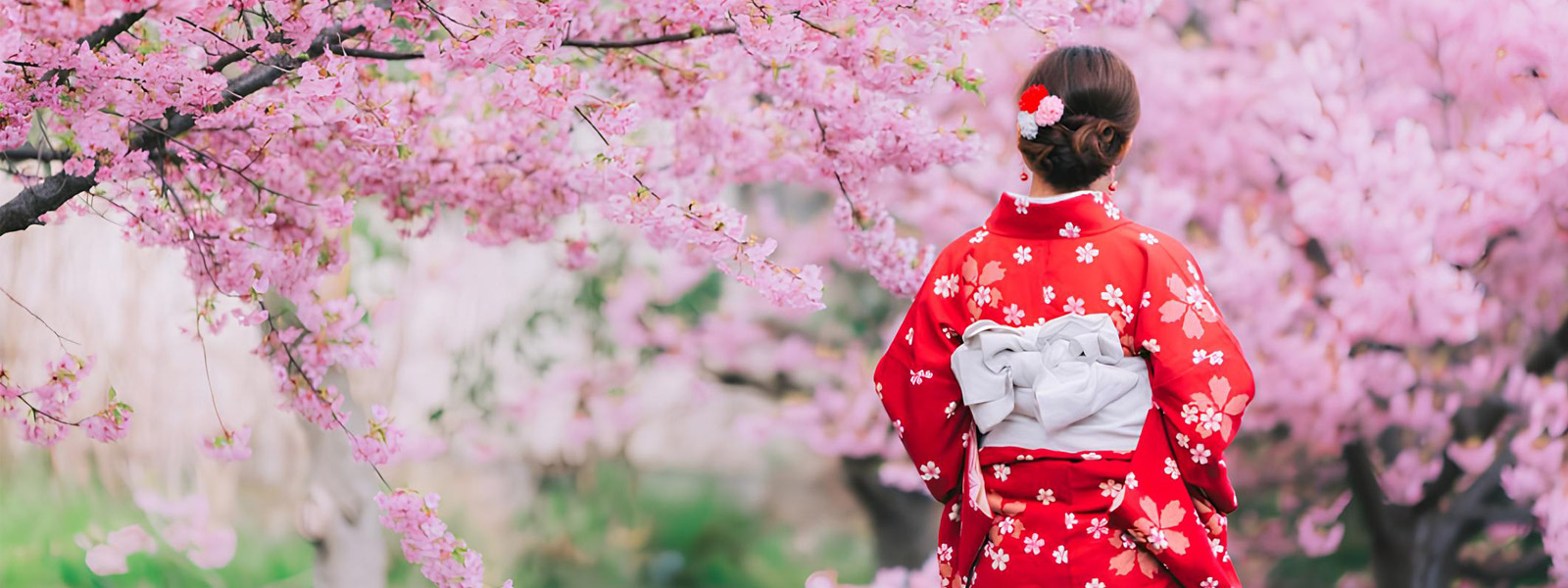 تور ژاپن نوروز 1405